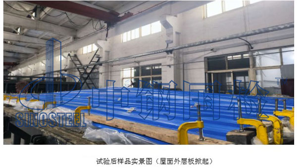 試驗后樣品實景圖