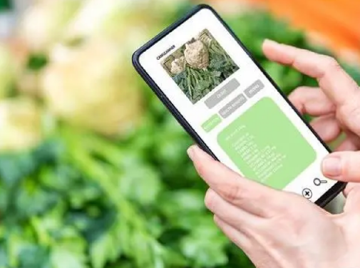 專(zhuān)業(yè)防偽標(biāo)簽印刷廠家：為您提供一站式防偽解決方案！